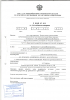 Лицензия на пользование недрами